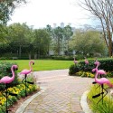 Solar Energy Powered Flamingo Lamp