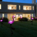 Solar Energy Powered Flamingo Lamp