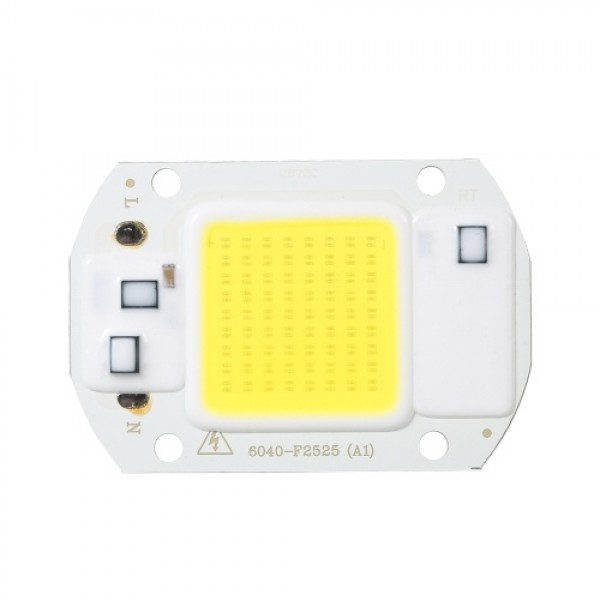 20W 30W 50W AC COB Light Cast Engine Driver-free LED Light Source Aluminum