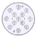 Submersible Pool Light with RF Remote Dimmable 13pcs RGBW LEDs Pond Fountain Lamp