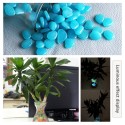 10PCS Glowing Stones