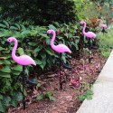 0.3W Solar Powered Energy LED Flamingo Design Lawn Lamp