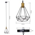 Tomshine 110-240V 0-60W Industrial Vintage Cage Pendant Light