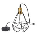 Tomshine 110-240V 0-60W Industrial Vintage Cage Pendant Light