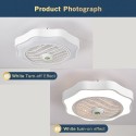 Ceiling Fan with Lighting LED Light Stepless Dimming Adjustable Wind Speed Remote Control Without Battery Modern LED Ceiling Lig