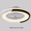 Ceiling Fan with Lighting LED Light Stepless Dimming Adjustable Wind Speed Remote Control Without Battery Modern LED Ceiling Lig