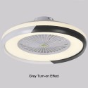 Ceiling Fan with Lighting LED Light Stepless Dimming Adjustable Wind Speed Remote Control Without Battery Modern LED Ceiling Lig