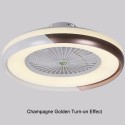 Ceiling Fan with Lighting LED Light Stepless Dimming Adjustable Wind Speed Remote Control Without Battery Modern LED Ceiling Lig