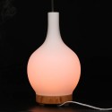 100ML Household Humidifier Aromatherapy Essential Oil Diffuser Aroma Diffuser