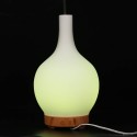 100ML Household Humidifier Aromatherapy Essential Oil Diffuser Aroma Diffuser