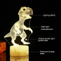 3D Dinosaur Led Night Light Illusion Lamp