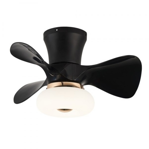 Fcmila FS0021 Ceiling Fan with Lighting