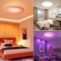 30W 110V Intelligent RGB Dimming Ceiling Lamp Wi-fi+BT 2.4G Remote Controlling Built-in Microphone and Music Player Voice Contro