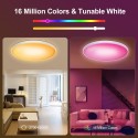 30W 110V Intelligent RGB Dimming Ceiling Lamp Wi-fi+BT 2.4G Remote Controlling Built-in Microphone and Music Player Voice Contro