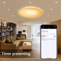 30W 110V Intelligent RGB Dimming Ceiling Lamp Wi-fi+BT 2.4G Remote Controlling Built-in Microphone and Music Player Voice Contro