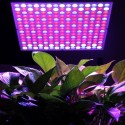 45W No-flash Light Plant Glowing Fast Glow Light