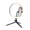 10.2 Inches LEDs Circle Round Light Selfie Lamp with BT Connected Remote Control Controller USB Powered Operated 3 Colors Temper