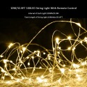 10M/ 32.8Ft 100LED Fairy String Light with Remote Control