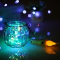 2 Meters 21 LED Cork Starry Fairy Copper Wire String LED Light