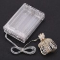 4.5V 1.8W 3 Meters 30 LED Fairy String Light