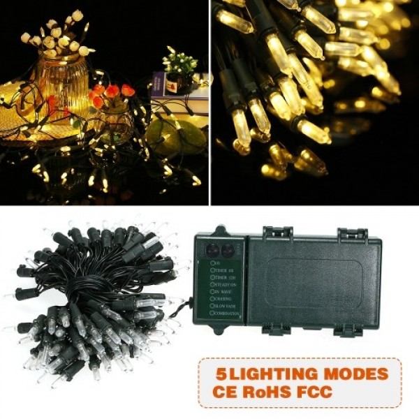 String Lights 39ft 100 LED Rope Light