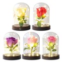 LED Rose Lamp