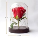 LED Rose Lamp