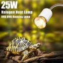 25W Halogen Heat Lamp