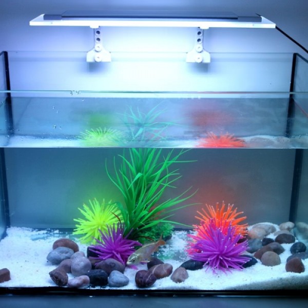 Tomshine Aquarium Light SMD5050 Ultra Thin RGB LED Multi Color Changing  with IR 24 Keys Remote Control Flash Strobe Fade Smooth