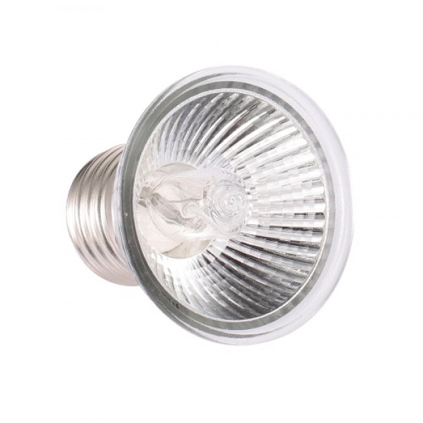 25W Halogen Heat Lamp