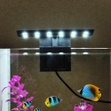 AC220V 5W 12 LED Aquarium Light Fish Jar Lamp