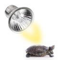 75W  Reptile Heat Lamp Bulb Tortoise Heat Lamp Bulb