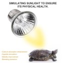 75W  Reptile Heat Lamp Bulb Tortoise Heat Lamp Bulb