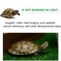 75W  Reptile Heat Lamp Bulb Tortoise Heat Lamp Bulb