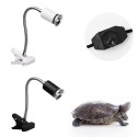 Reptile Heat Lamp Tortoise Heat Lamp