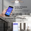 Ceiling Fan and Light Controller Intelligent Switch