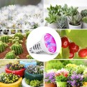 LEDs Plant Grow Lights Bulb 8W UV Mosquito Killer Lamp Bug Zapper for Grow Tent Succulent Flowers Indoor Plants Vegetable( AC220