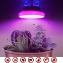 LEDs Plant Grow Lights Bulb 8W UV Mosquito Killer Lamp Bug Zapper for Grow Tent Succulent Flowers Indoor Plants Vegetable( AC220