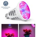 LEDs Plant Grow Lights Bulb 8W UV Mosquito Killer Lamp Bug Zapper for Grow Tent Succulent Flowers Indoor Plants Vegetable( AC220