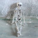 1pc Halloween Skeleton Mummy Room Set Props Skeleton Ornaments